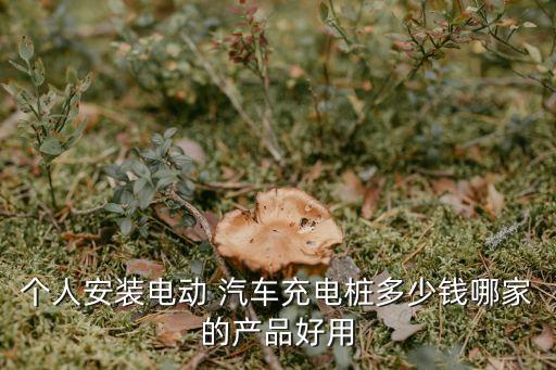 個(gè)人安裝電動(dòng) 汽車充電樁多少錢哪家的產(chǎn)品好用