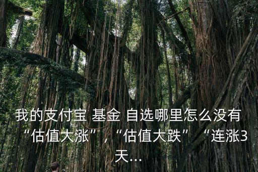 我的支付寶 基金 自選哪里怎么沒(méi)有“估值大漲”,“估值大跌”“連漲3天...