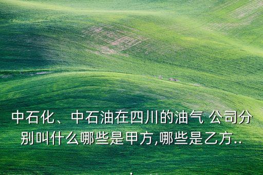 中石化、中石油在四川的油氣 公司分別叫什么哪些是甲方,哪些是乙方...
