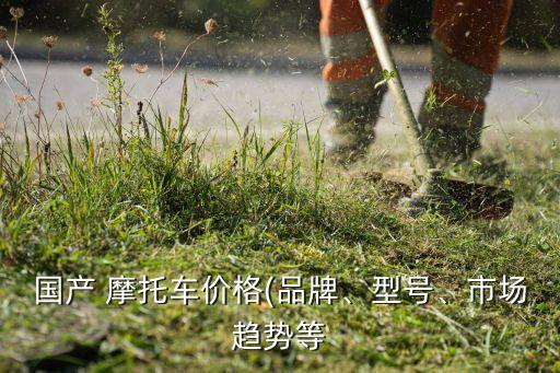 國(guó)產(chǎn) 摩托車(chē)價(jià)格(品牌、型號(hào)、市場(chǎng)趨勢(shì)等