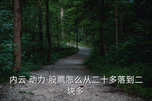 內(nèi)云 動力 股票怎么從二十多落到二塊多