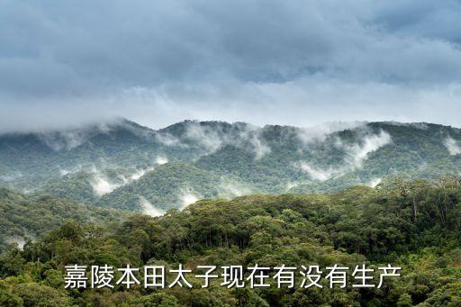  嘉陵本田太子現(xiàn)在有沒有生產