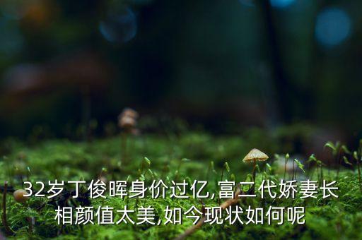 32歲丁俊暉身價過億,富二代嬌妻長相顏值太美,如今現狀如何呢