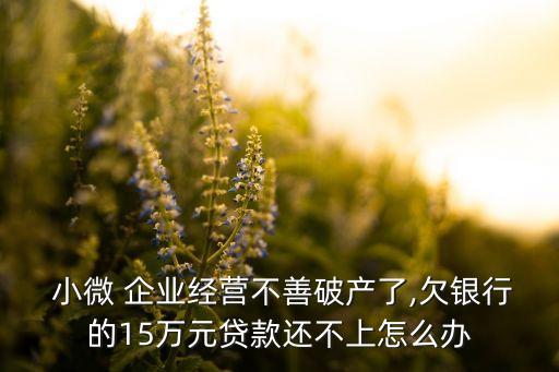 中國(guó)小微企業(yè)倒閉