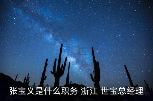 浙江世寶方向機(jī)有限公司