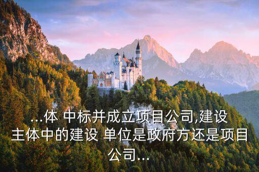 ...體 中標并成立項目公司,建設主體中的建設 單位是政府方還是項目公司...