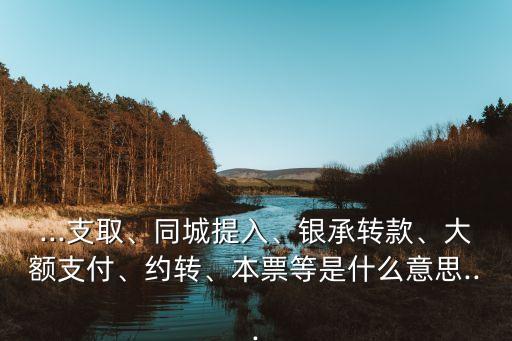 ...支取、同城提入、銀承轉(zhuǎn)款、大額支付、約轉(zhuǎn)、本票等是什么意思...