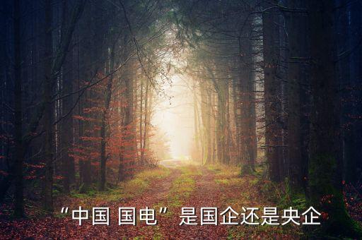 國電集團吧,王進強 國電集團