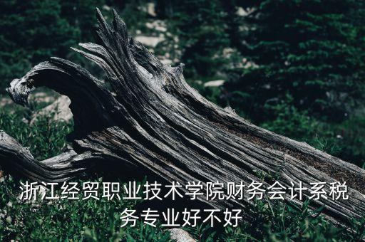  浙江經(jīng)貿(mào)職業(yè)技術(shù)學(xué)院財(cái)務(wù)會(huì)計(jì)系稅務(wù)專業(yè)好不好