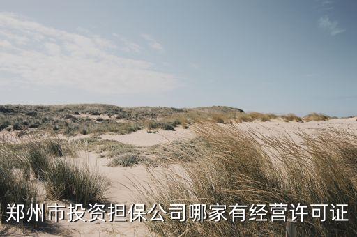鄭州市投資擔保公司哪家有經營許可證