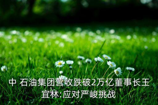 中 石油集團營收跌破2萬億董事長王宜林:應(yīng)對嚴(yán)峻挑戰(zhàn)