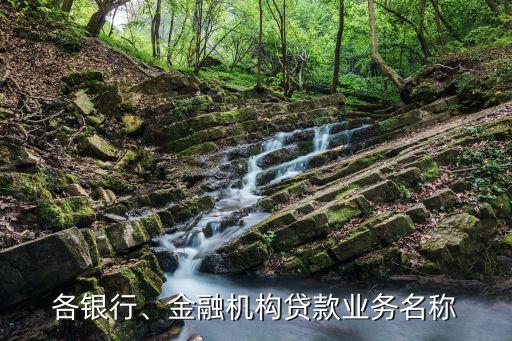 各銀行、金融機(jī)構(gòu)貸款業(yè)務(wù)名稱