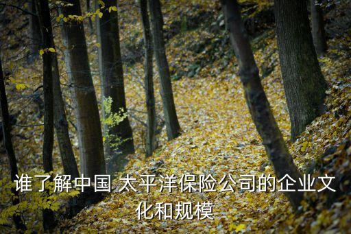 誰(shuí)了解中國(guó) 太平洋保險(xiǎn)公司的企業(yè)文化和規(guī)模