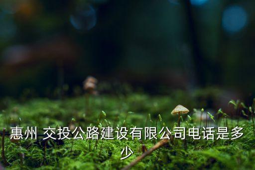 廣東省交投集團(tuán)董事長,成都交投集團(tuán)董事長