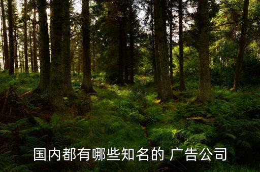 國內都有哪些知名的 廣告公司