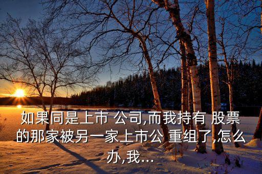 股票重組控股網絡公司