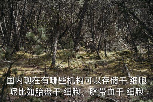 國內(nèi)現(xiàn)在有哪些機(jī)構(gòu)可以存儲干 細(xì)胞呢比如胎盤干 細(xì)胞、臍帶血干 細(xì)胞