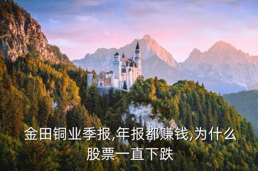  金田銅業(yè)季報,年報都賺錢,為什么 股票一直下跌