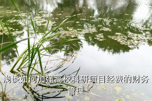 淺談如何加強高?？蒲许椖拷?jīng)費的財務管理