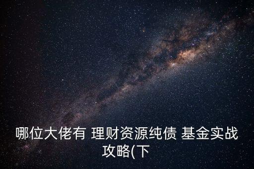 哪位大佬有 理財資源純債 基金實戰(zhàn)攻略(下