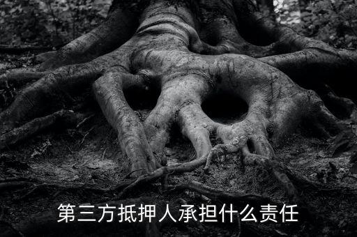 第三方抵押人承擔什么責任