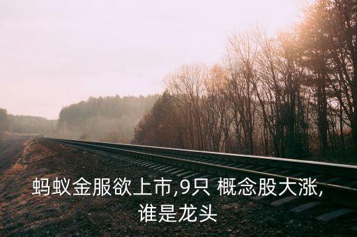 螞蟻金服欲上市,9只 概念股大漲,誰(shuí)是龍頭