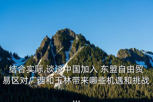 中國東盟自貿區(qū)的新進展