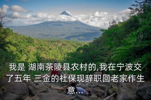 我是 湖南茶陵縣農(nóng)村的,我在寧波交了五年 三金的社?，F(xiàn)辭職回老家作生意...