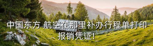 中國東方 航空在那里補辦行程單打印報銷憑證!