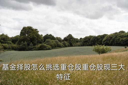 基金擇股怎么挑選重倉(cāng)股重倉(cāng)股現(xiàn)三大特征