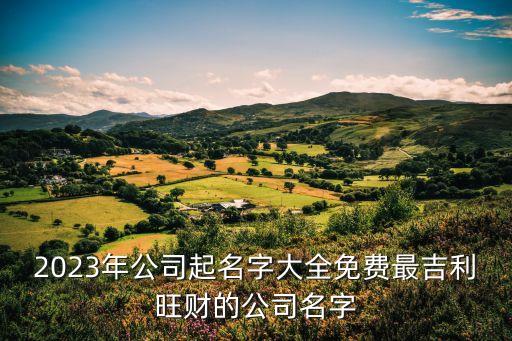 2023年公司起名字大全免費(fèi)最吉利旺財(cái)?shù)墓久? class=