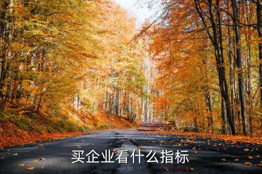 買企業(yè)看什么指標(biāo)