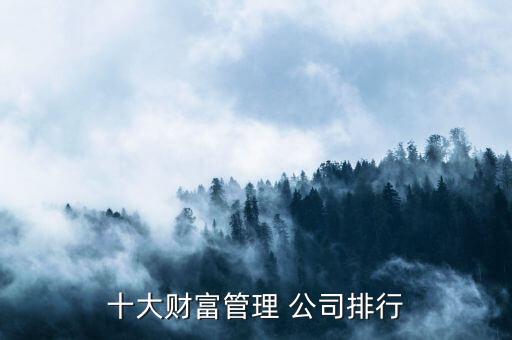 十大財(cái)富管理 公司排行