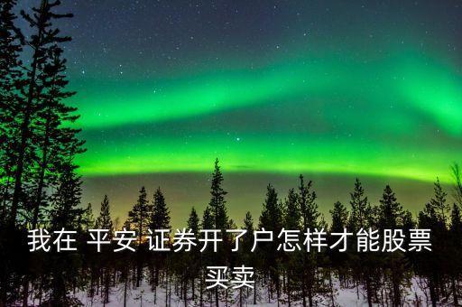 平安銀行轉證券