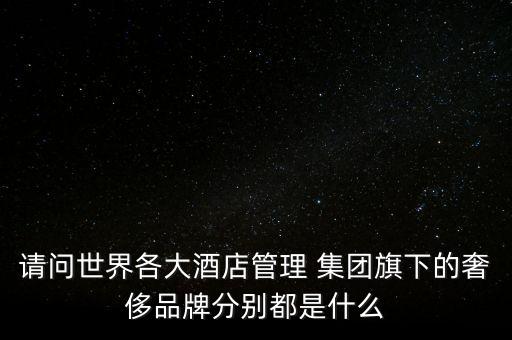 請(qǐng)問世界各大酒店管理 集團(tuán)旗下的奢侈品牌分別都是什么