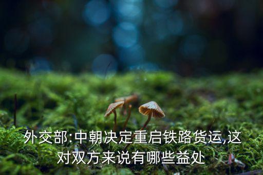 中國(guó)高鐵外交的影響,高鐵對(duì)中國(guó)的影響