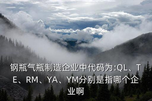 鋼瓶氣瓶制造企業(yè)中代碼為:QL、TE、RM、YA、YM分別是指哪個(gè)企業(yè)啊