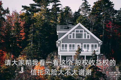 請大家?guī)臀铱匆豢催@個 股權(quán)收益權(quán)的 信托風(fēng)險大不大謝謝
