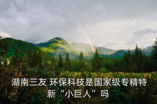  湖南三友 環(huán)?？萍际菄壹墝＞匦隆靶【奕恕眴? class=