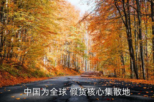 中國為全球 假貨核心集散地