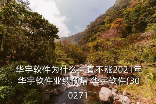  華宇軟件為什么一直不漲2021年 華宇軟件業(yè)績預(yù)增 華宇軟件(300271