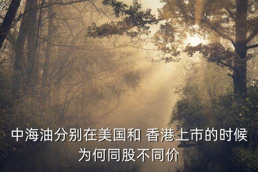 中海油分別在美國和 香港上市的時(shí)候?yàn)楹瓮刹煌瑑r(jià)