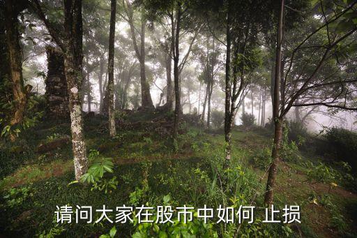 請(qǐng)問大家在股市中如何 止損