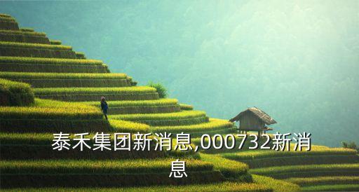  泰禾集團新消息,000732新消息