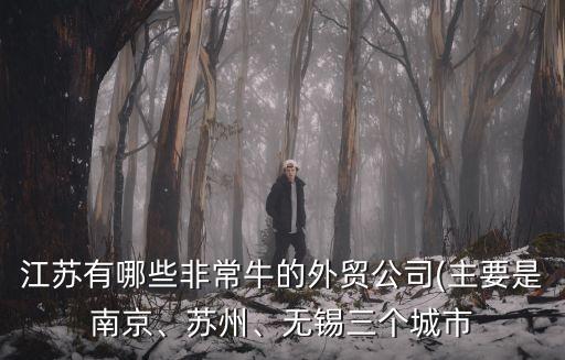 江蘇有哪些非常牛的外貿(mào)公司(主要是南京、蘇州、無(wú)錫三個(gè)城市