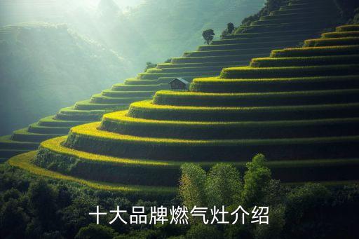 十大品牌燃氣灶介紹