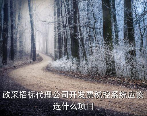 政采招標(biāo)代理公司開發(fā)票稅控系統(tǒng)應(yīng)該選什么項目