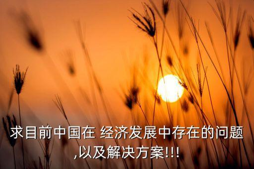 求目前中國在 經濟發(fā)展中存在的問題,以及解決方案!!!