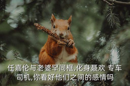 任嘉倫與老婆罕同框,化身聶歡 專(zhuān)車(chē)司機(jī),你看好他們之間的感情嗎