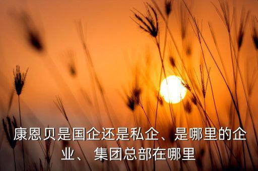  康恩貝是國(guó)企還是私企、是哪里的企業(yè)、 集團(tuán)總部在哪里